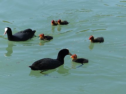 La famille réunie