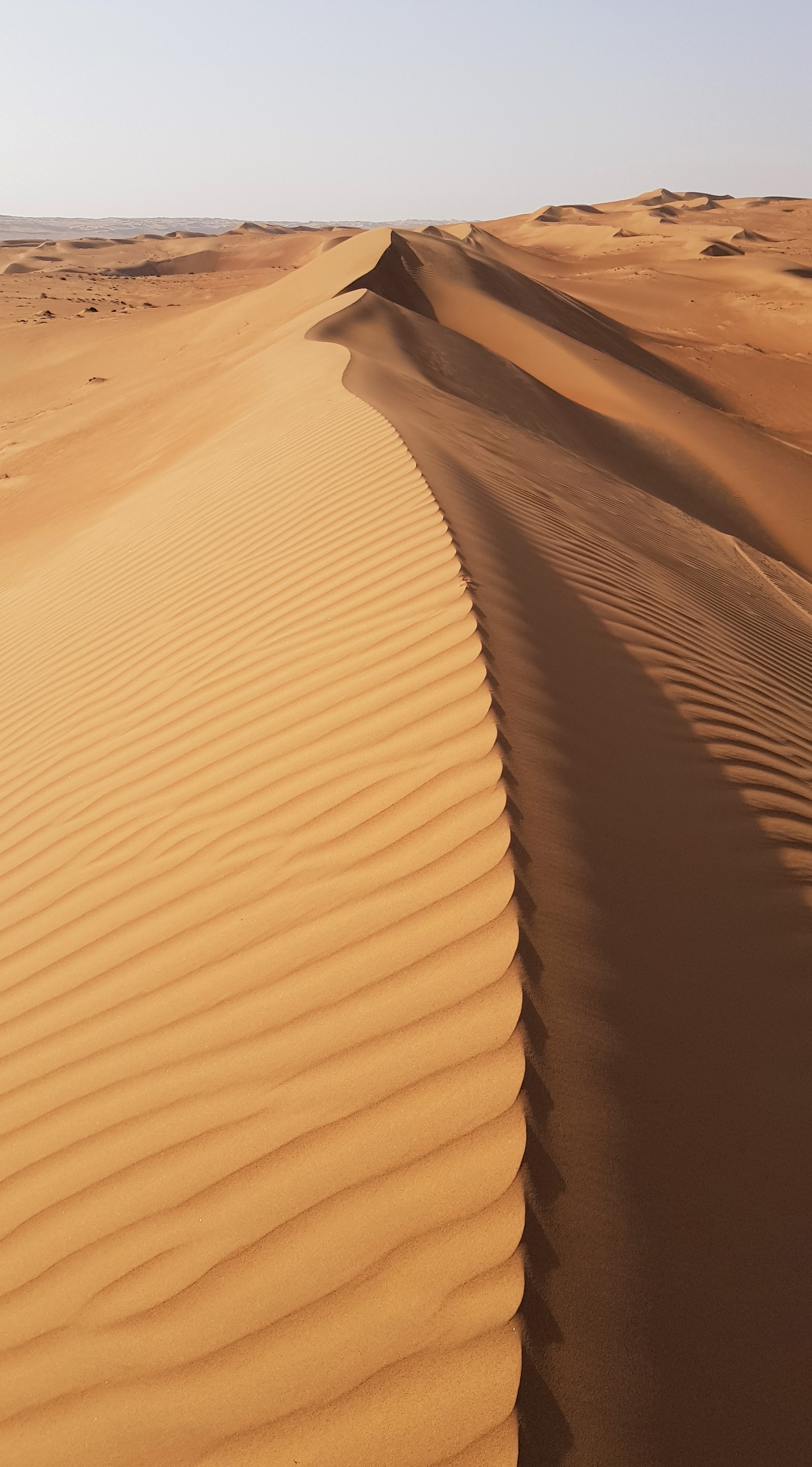 Désert du Wahiba Sands après le lever du soleil Désert du Wahiba Sands après le lever du soleil