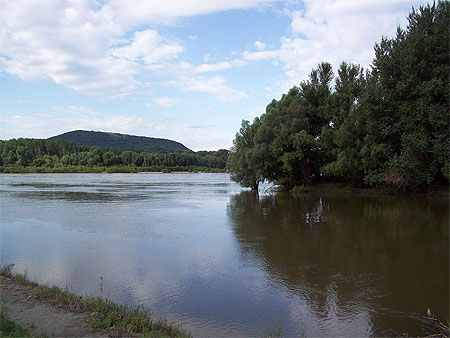 Confluent Danube-Morava