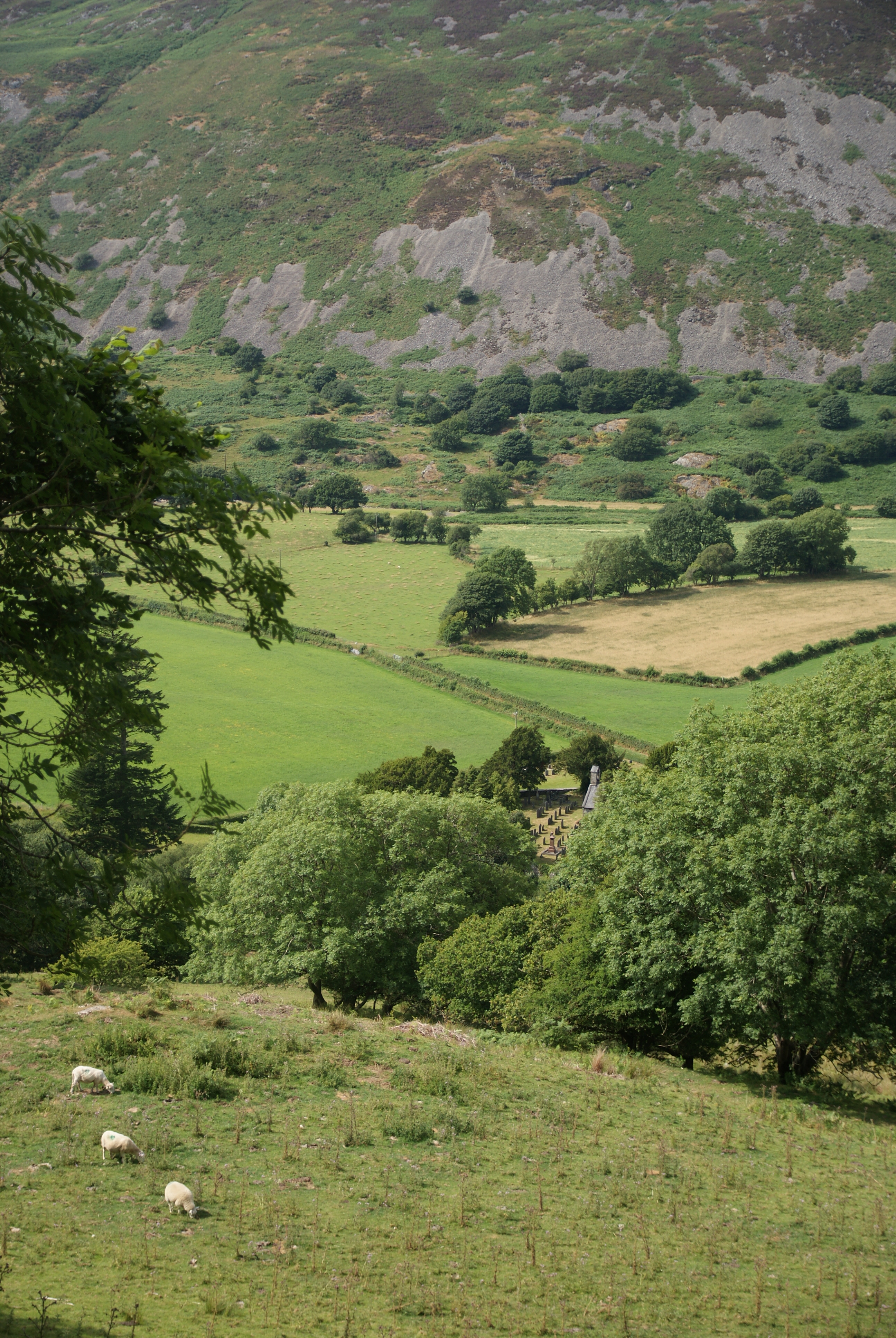 Castell y Bere Castell y Bere