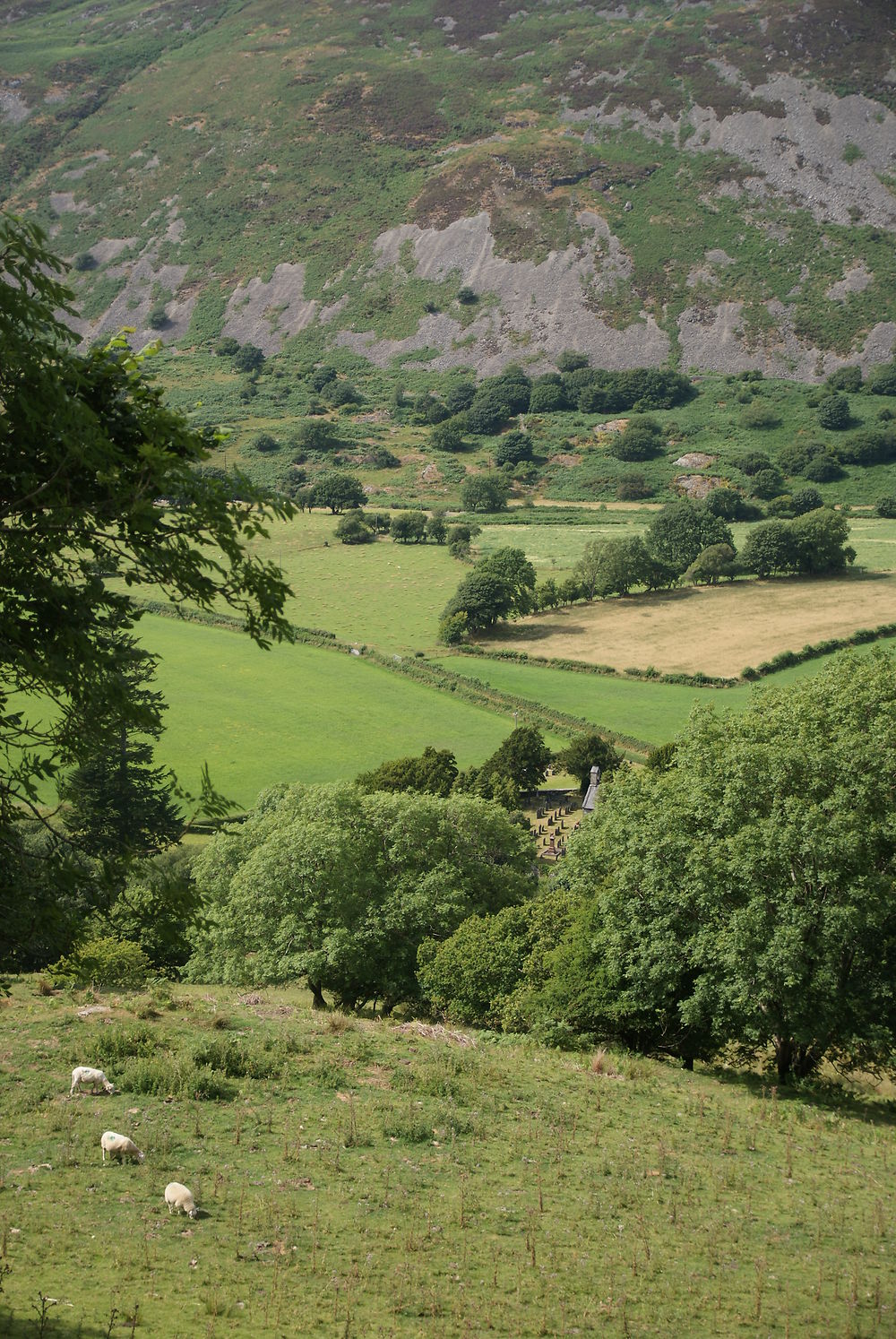 Castell y Bere