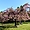 Cerisiers en fleurs du parc de Sceaux