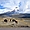 Chevaux sauvages au pied du Cotopaxi