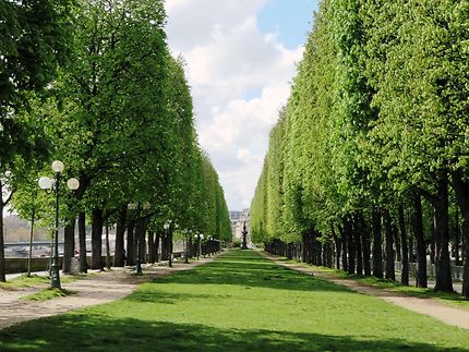 Jardin d'Erevan à Paris