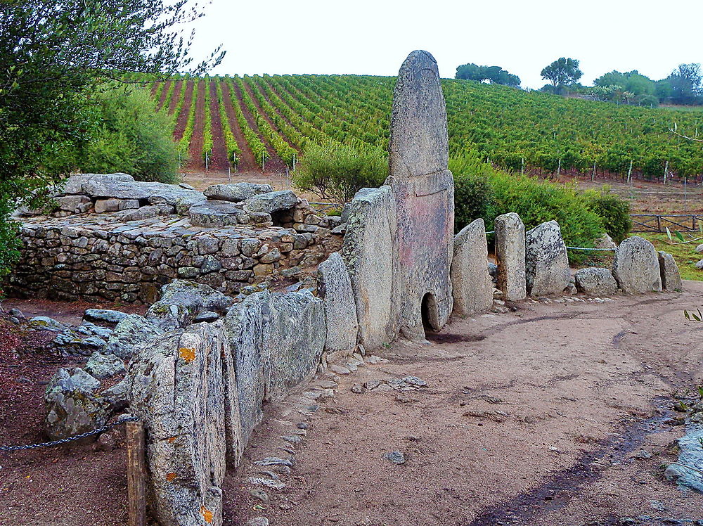 Dolmen - domus de Janas - tombe de géant