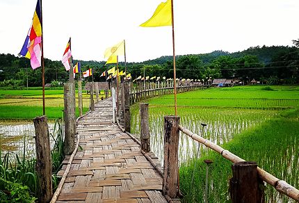 Pont de bambou à Mae Hong Son