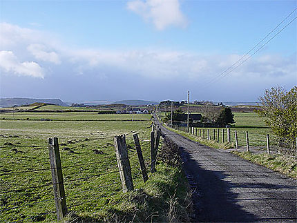 Paysage entre Inverness et Nairn
