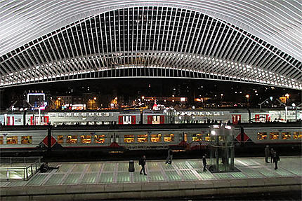 Gare des Guillemins