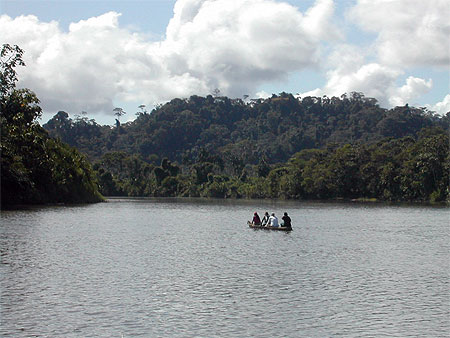 Sur le Rio Napo près de Campo Cocha Sur le Rio Napo près de Campo Cocha
