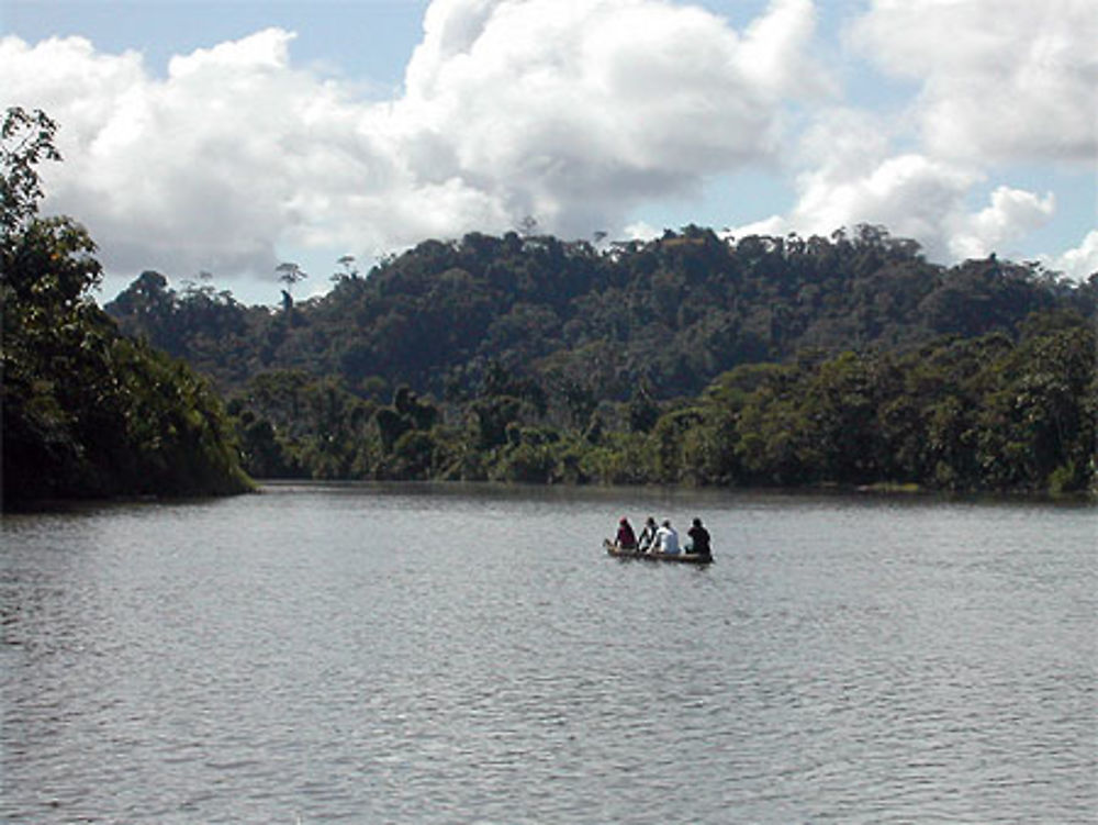 Sur le Rio Napo près de Campo Cocha