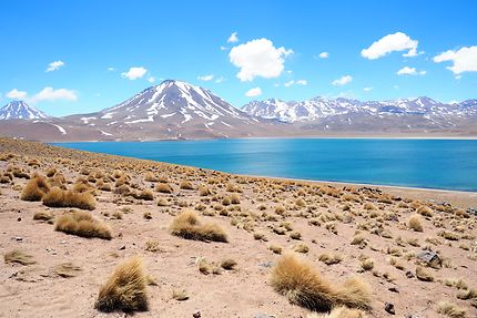 Lagune Bolivienne