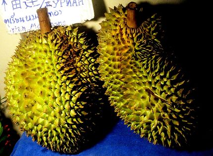 Le durian 