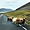Les fameux 3 moutons islandais 