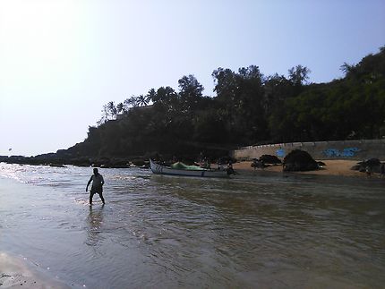 L'une des paisibles plages de Goa 