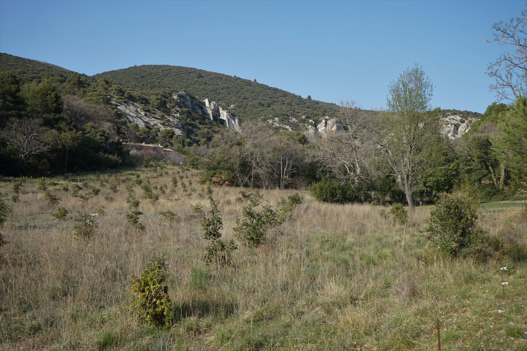 Maison du Papet du film Jean de Florette