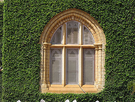Des plantes et la fenetre Des plantes et la fenetre