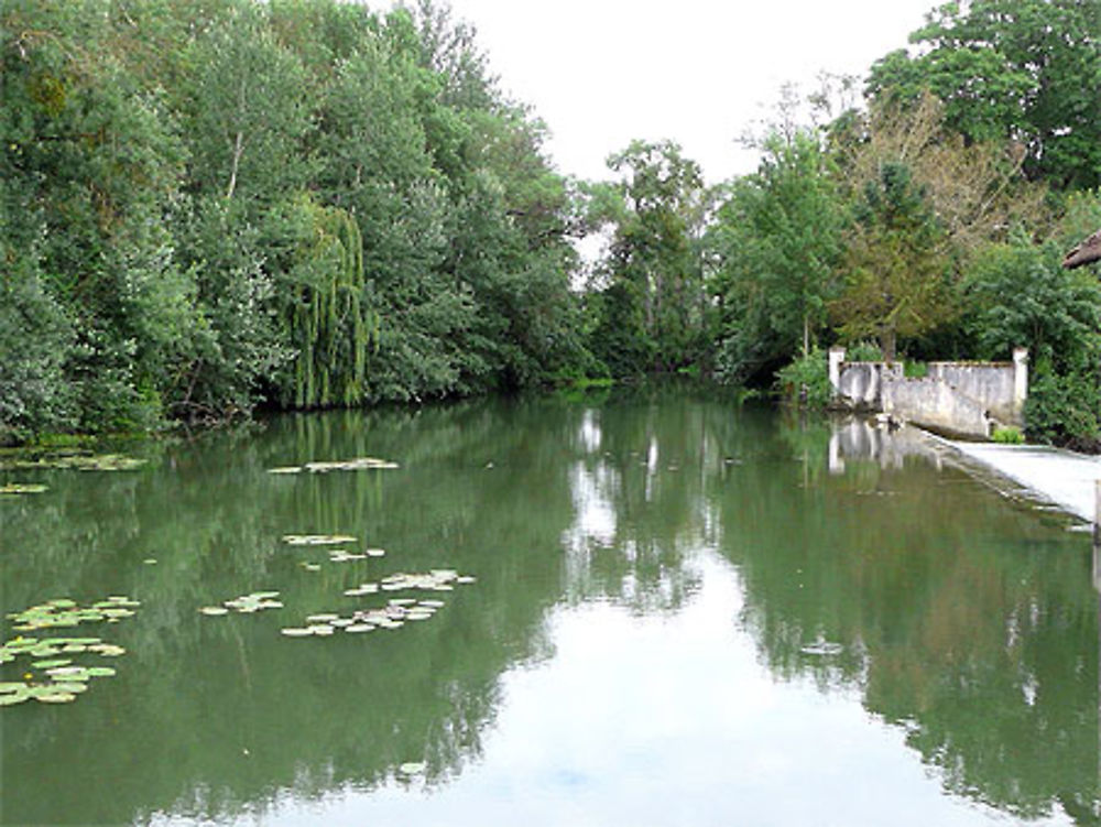 L'Indre à Azay-le-Rideau