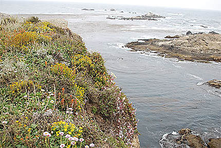 Les rivages de Point Lobos State Reserve