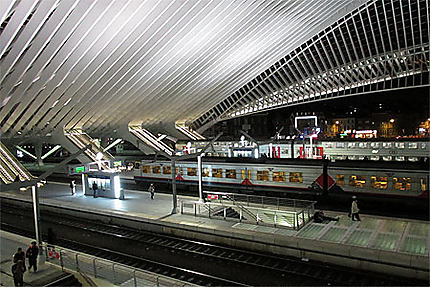 Gare des Guillemins