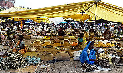 Le marché de Janakpur