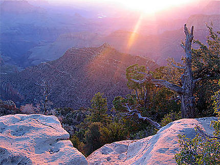 Levé de soleil sur le Grand Canyon