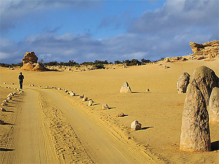 Desert - Les pinnacles