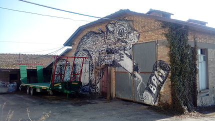 Street art en Émilie-Romagne