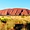 Coucher de soleil sur Uluru