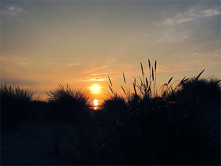 Middelkerke - Dunes en soirée