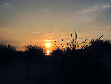 Middelkerke - Dunes en soirée Middelkerke - Dunes en soirée