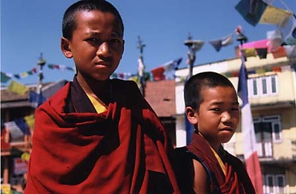 Jeunes moines au Népal