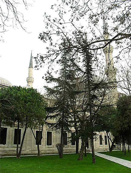Jardins de la mosquée
