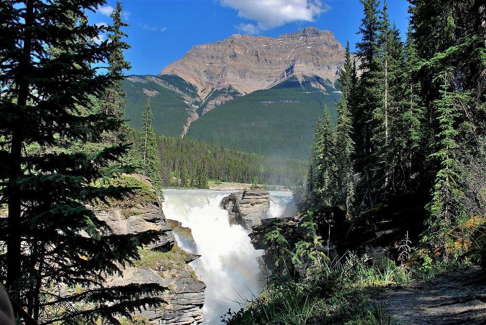 Athabasca Falls