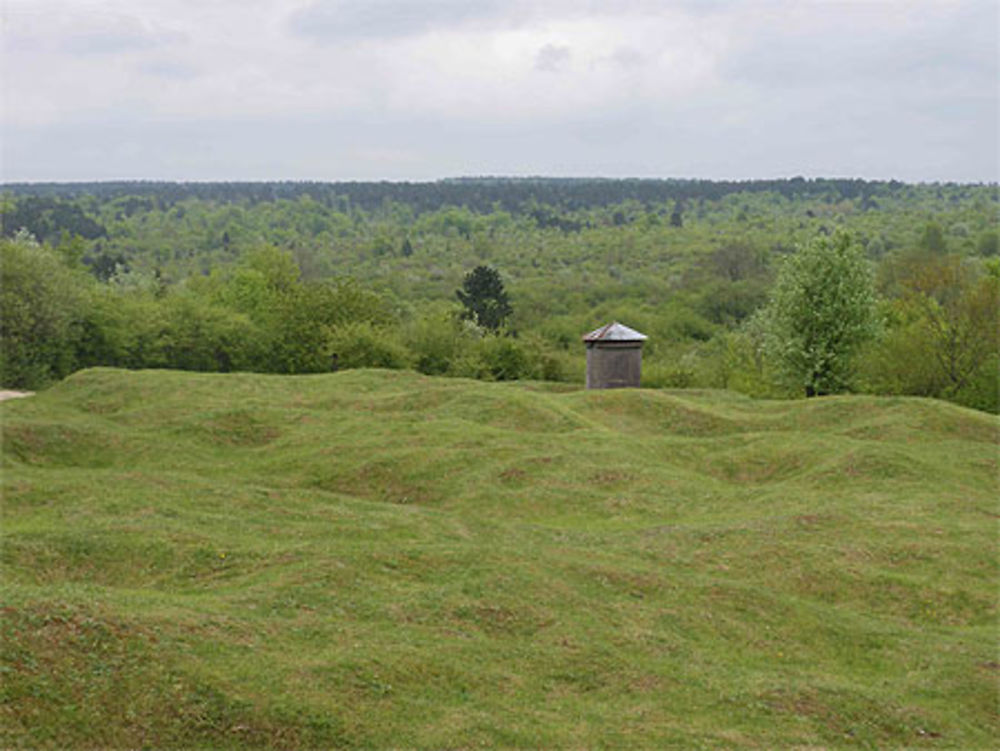 Verdun - champ de bataille