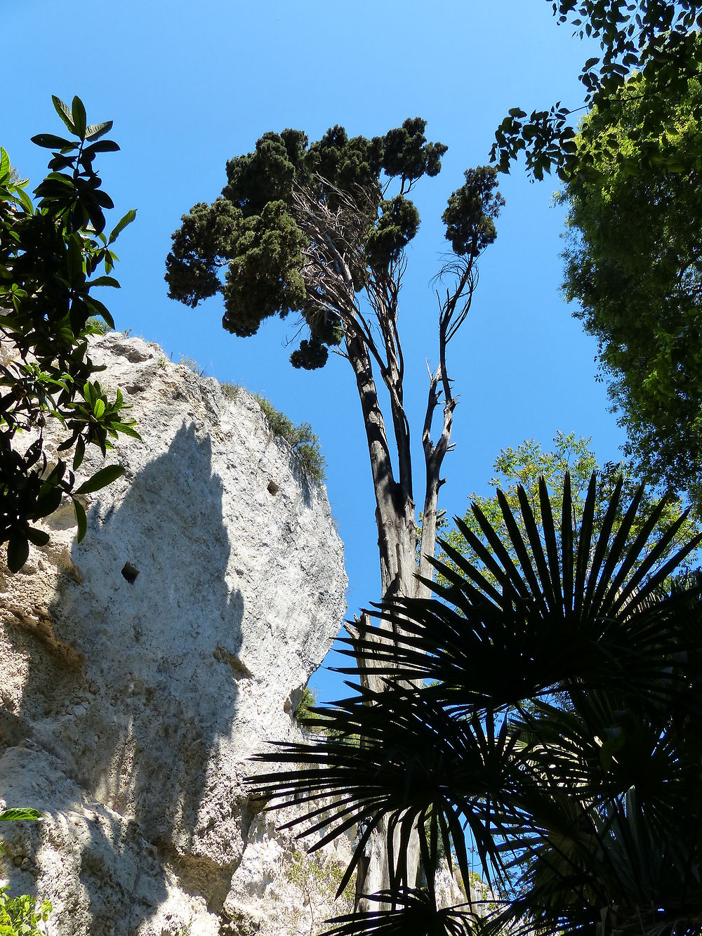 Latomia dei cappuccini