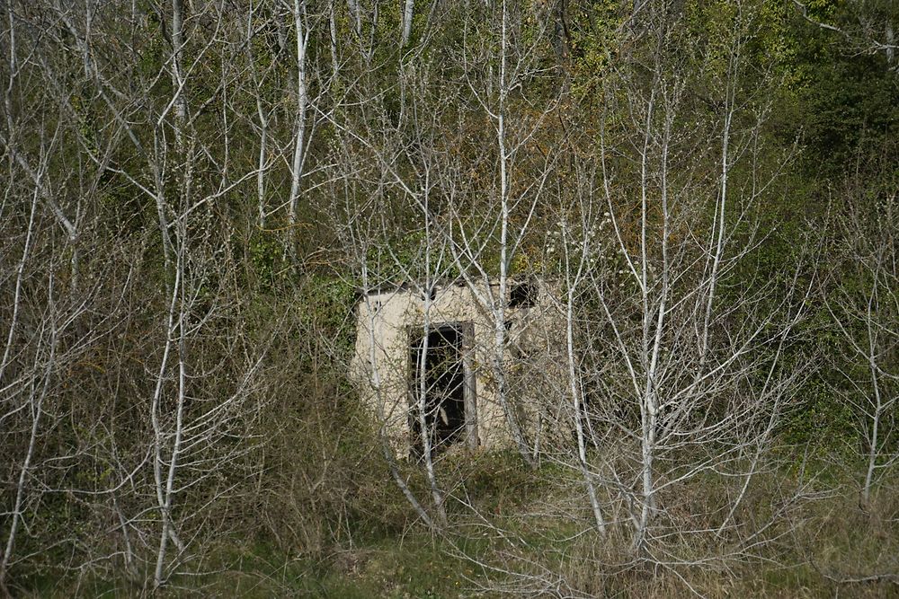 Le long de la Durance