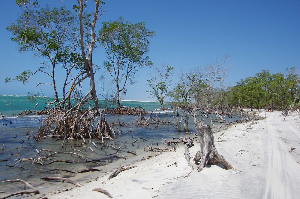 Entre Camocim et Jericoacoara