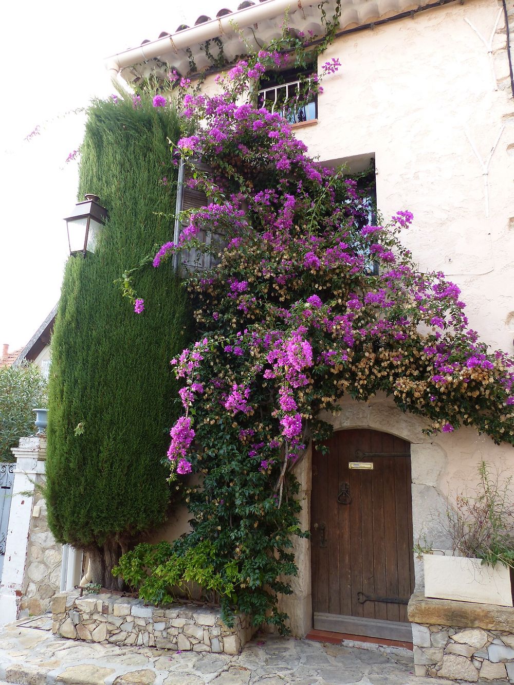 Cascade de fleurs, Le Castellet