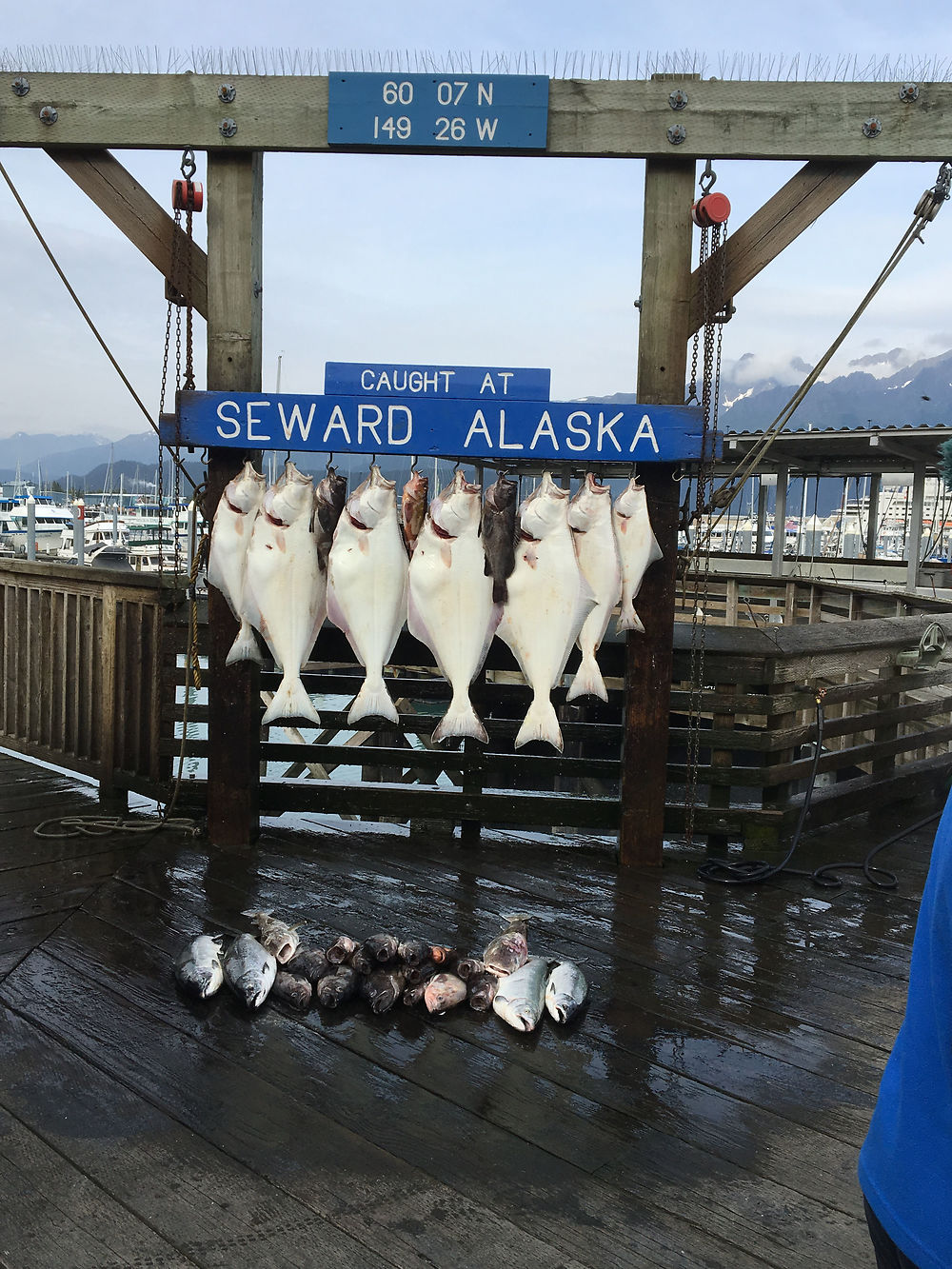 Fishing à Seward