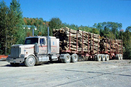 transport de grumes transport de grumes