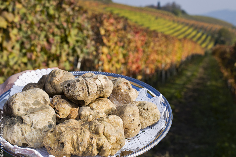 Piémont : la truffe blanche et la gastronomie en fête