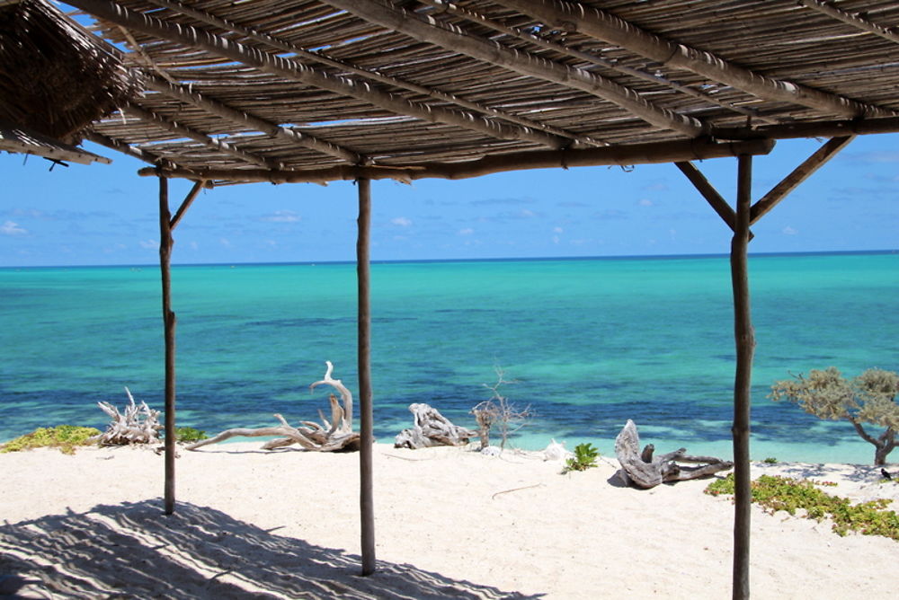 Plage paradisiaque à Madagascar, Salary