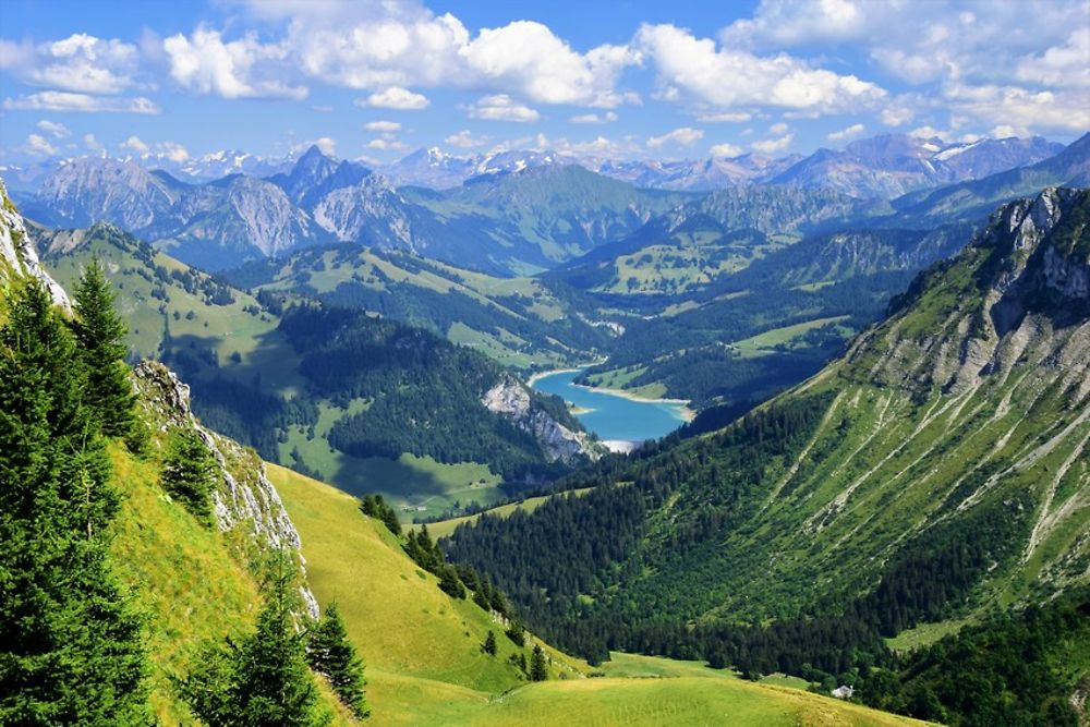 Vue sur les Alpes depuis les Rochers-de-Naye