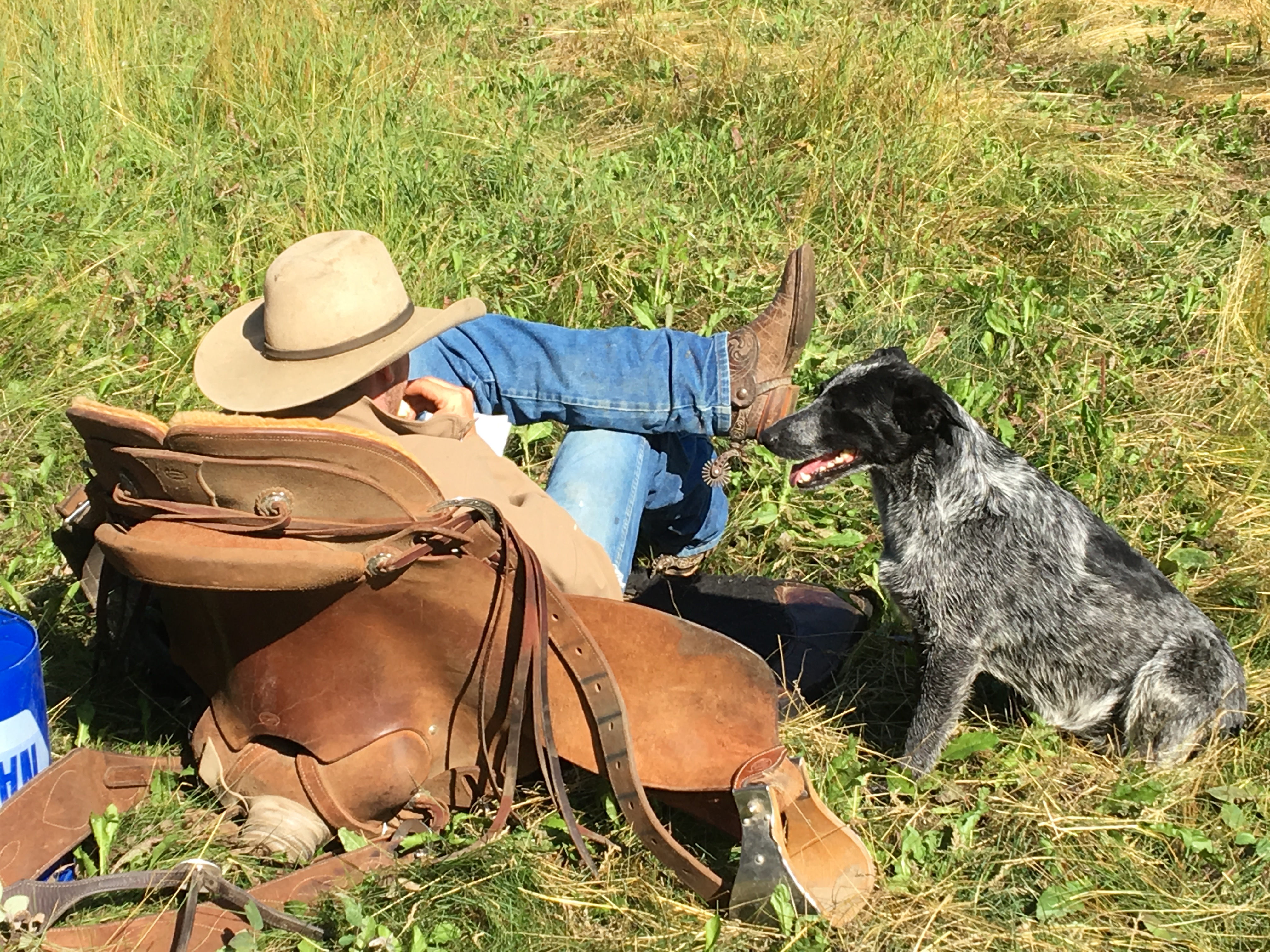Poor lonesome cowboy Poor lonesome cowboy