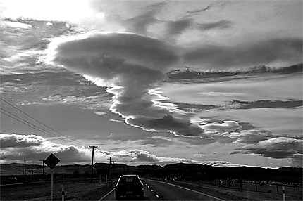Aotearoa white cloud