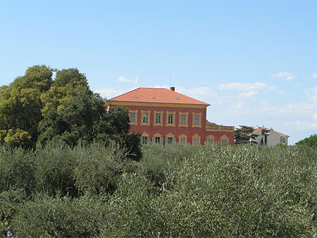 Musée Matisse Musée Matisse
