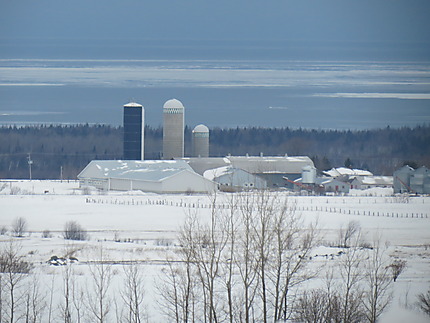 Ferme à St-Donat de Rimouski