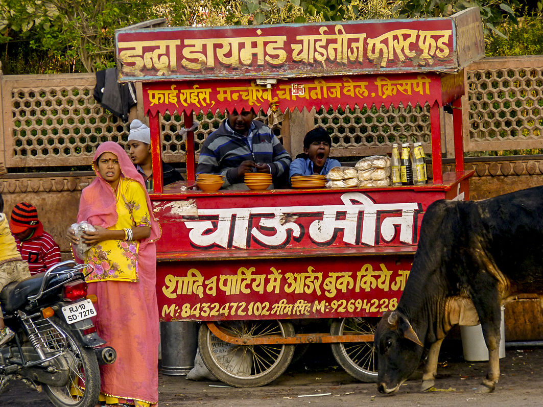 Échoppe de rue, Bikaner, en Inde