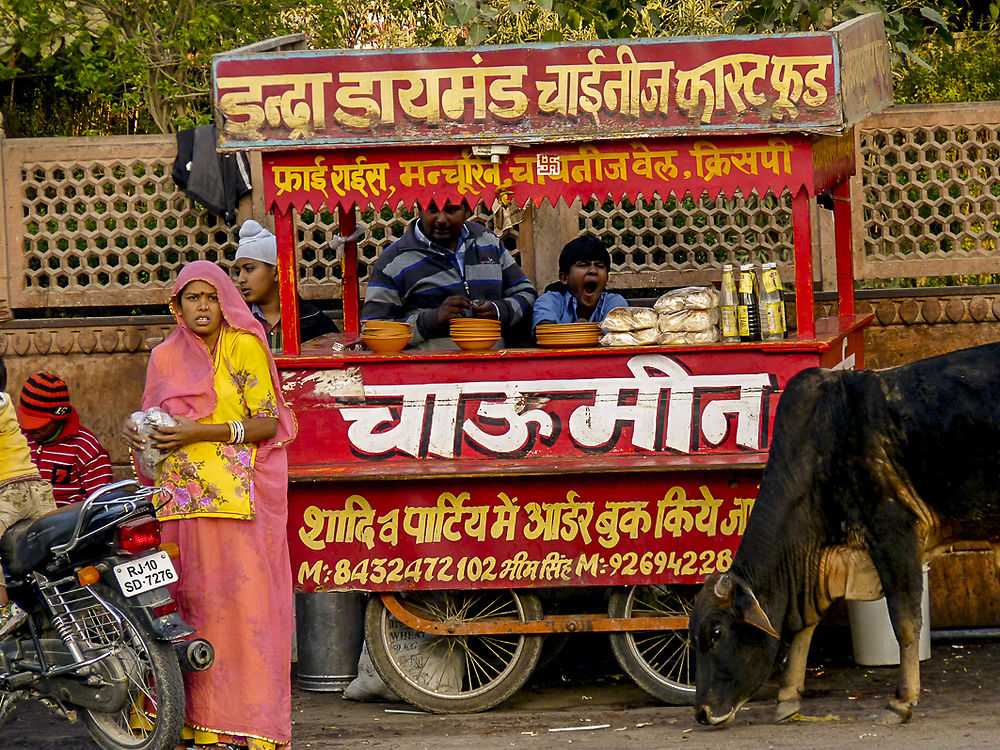 Échoppe de rue, Bikaner, en Inde