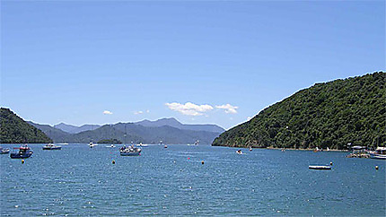 Picton Bay